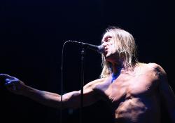 Iggy Pop Billets