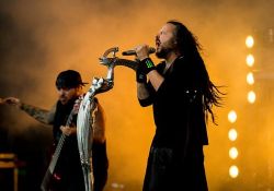 Korn Billets