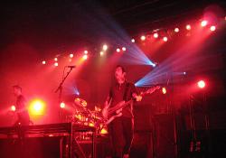 Rise Against Billets