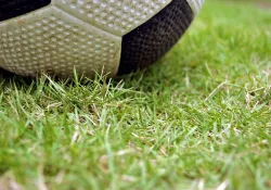 VfB Stuttgart - SC Freiburg